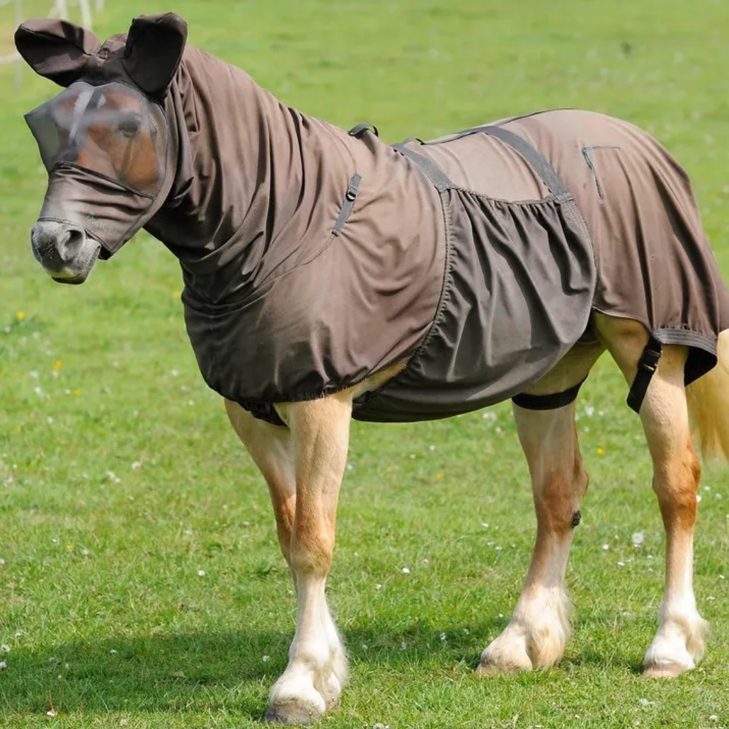 protecting your horse from flies